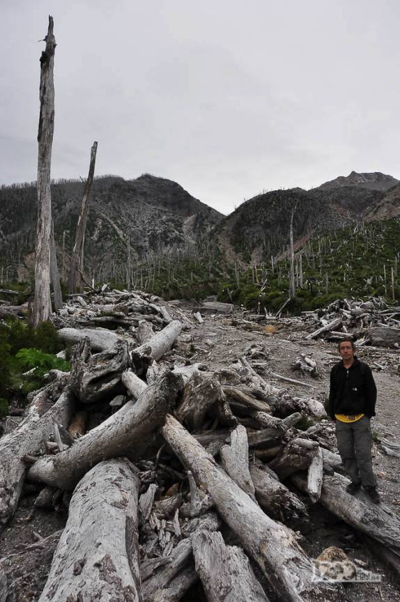 Trilha para subir o vulcão Chaitén passa pelos restos da antiga floresta que existia na região antes da erupção em 2008, no sul do Chile